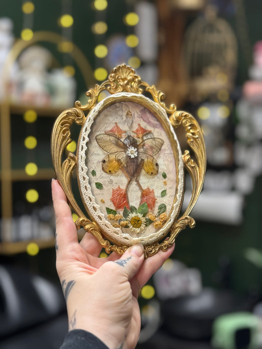 Faerie Frog in 24 carat plated Convex Frame