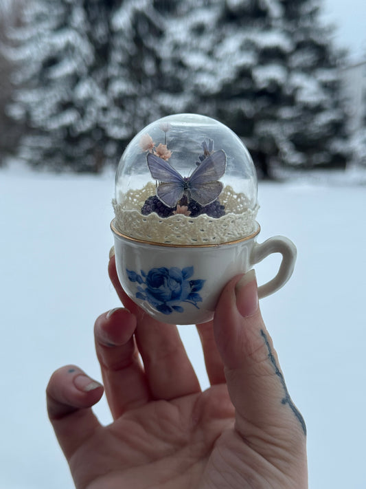 Tiny Tea Time
