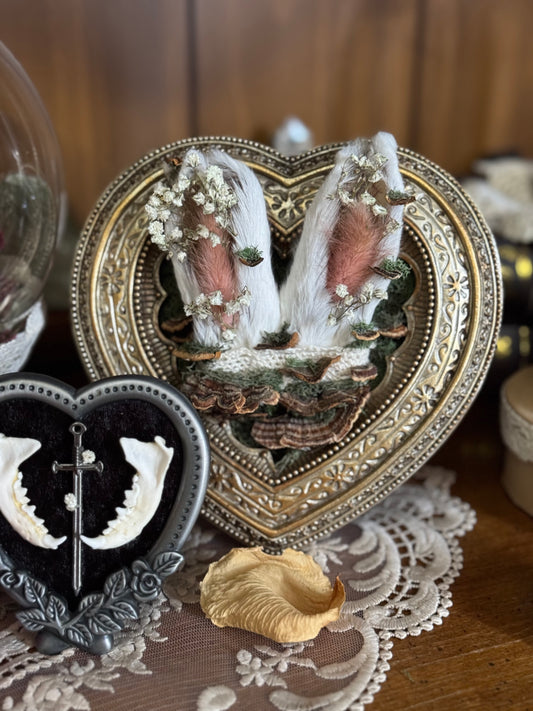 Bunny Ears & Baby’s Breath in White & Gold