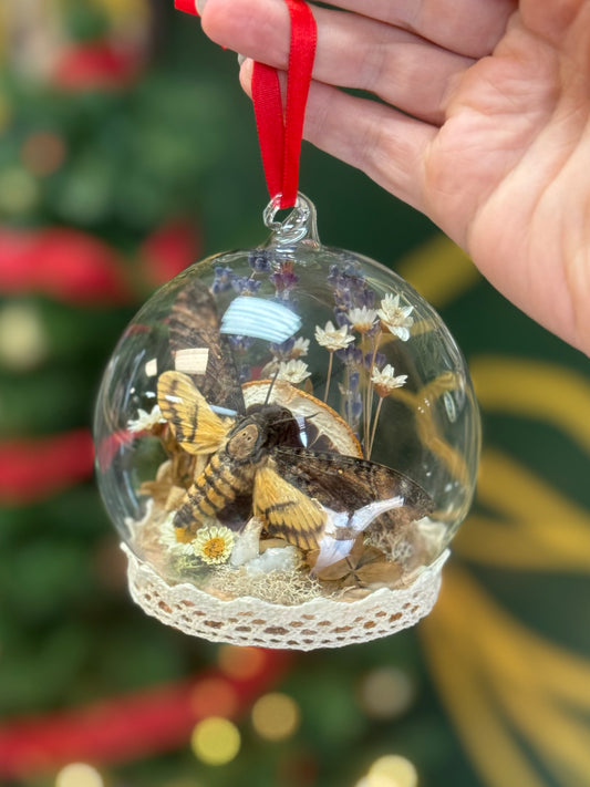Deaths head hawk moth Yuletide ornament