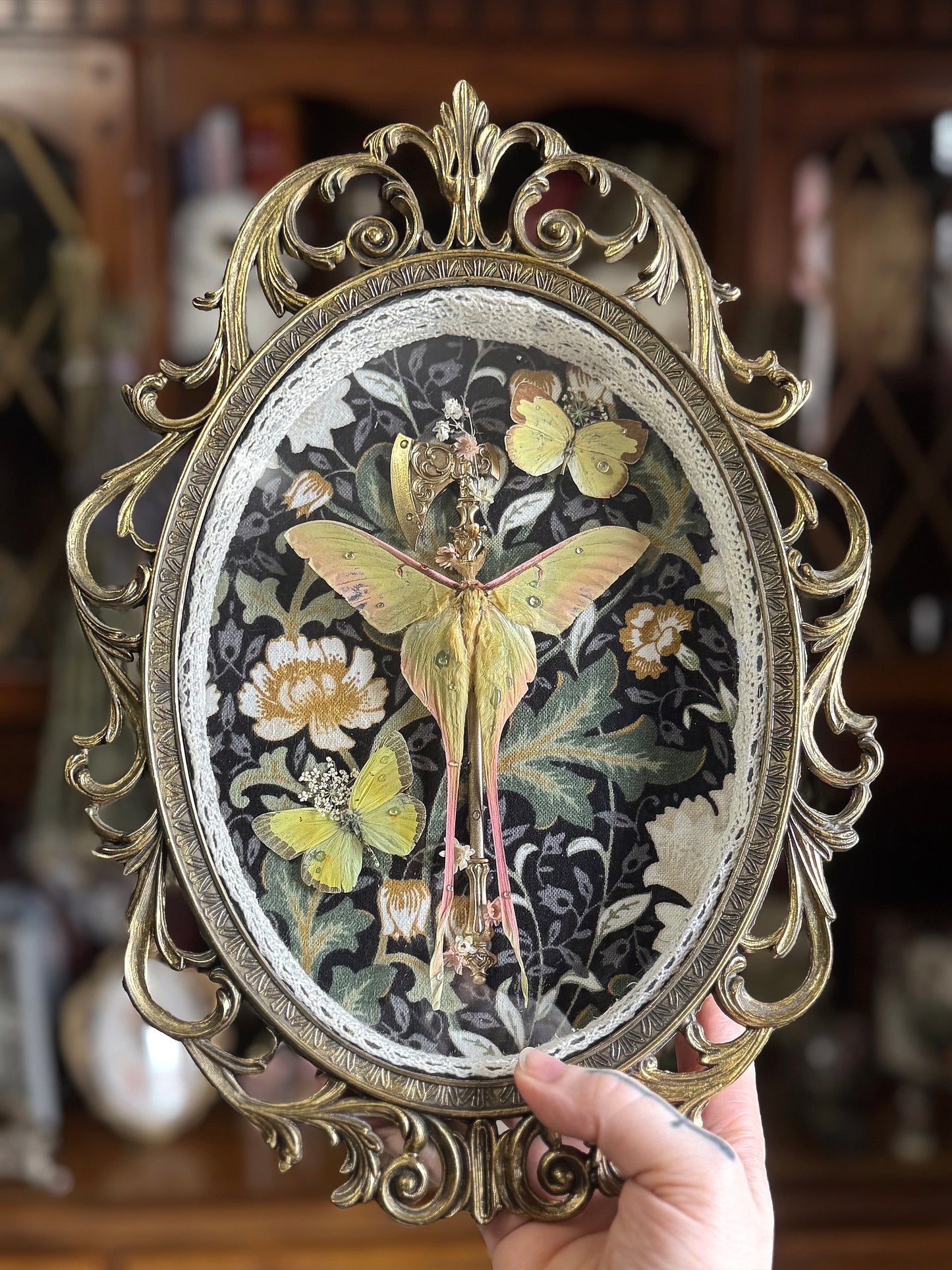 Chinese Luna with Axe & Friends