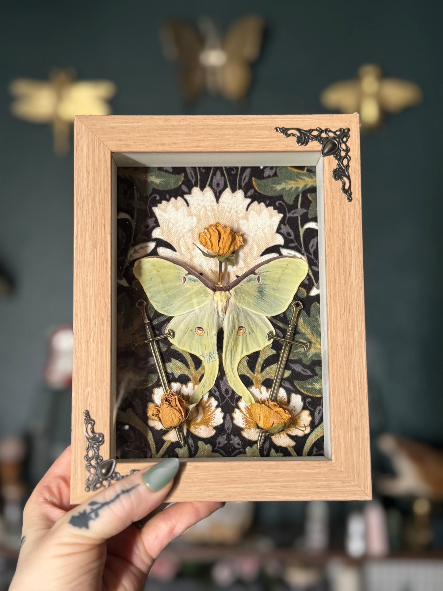 Luna & Longsword Shadowbox II