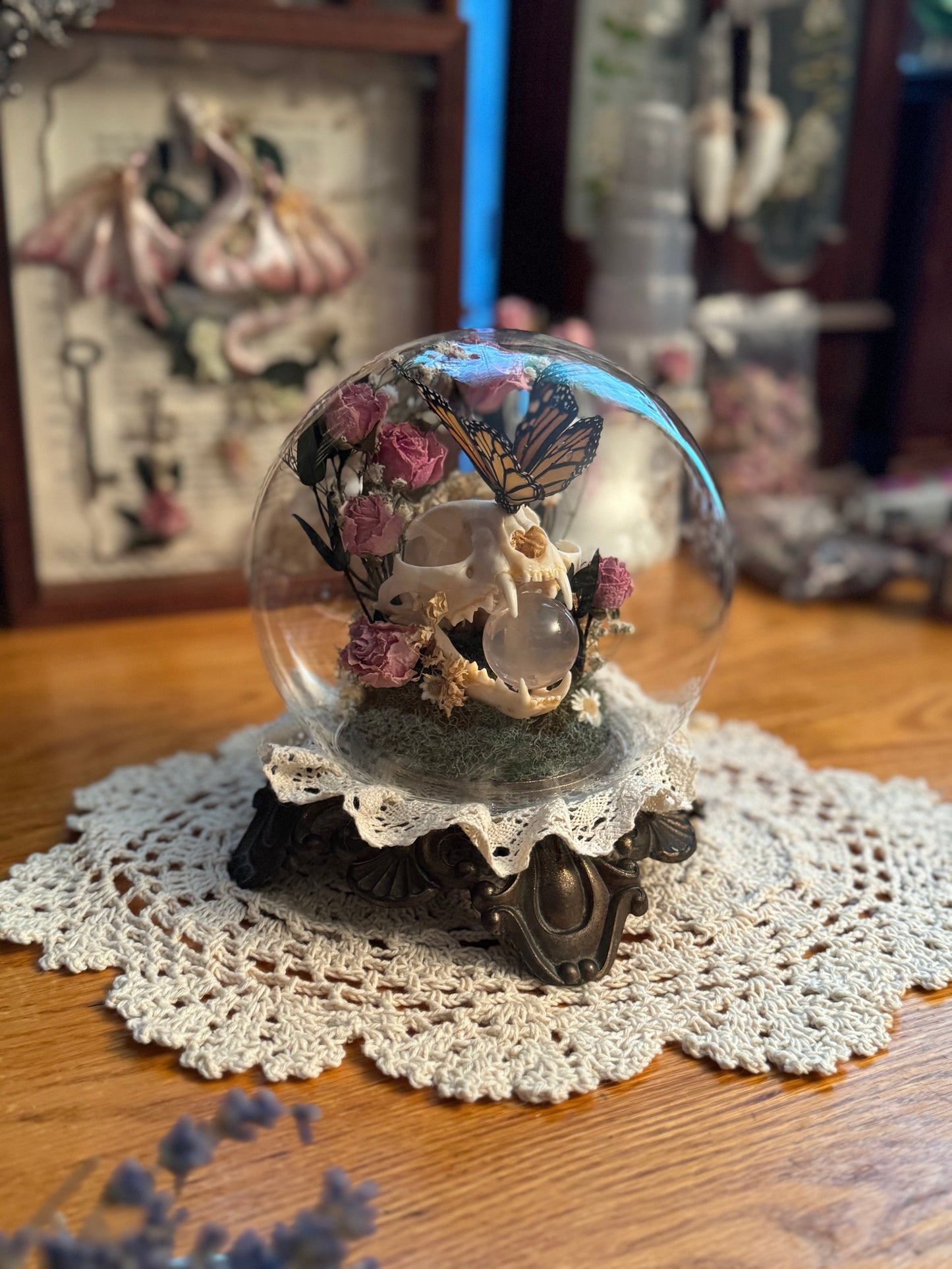 Cat Skull Crystal Ball