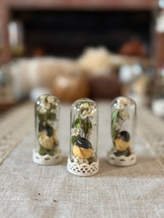 Rollie Pollie Mini Vials