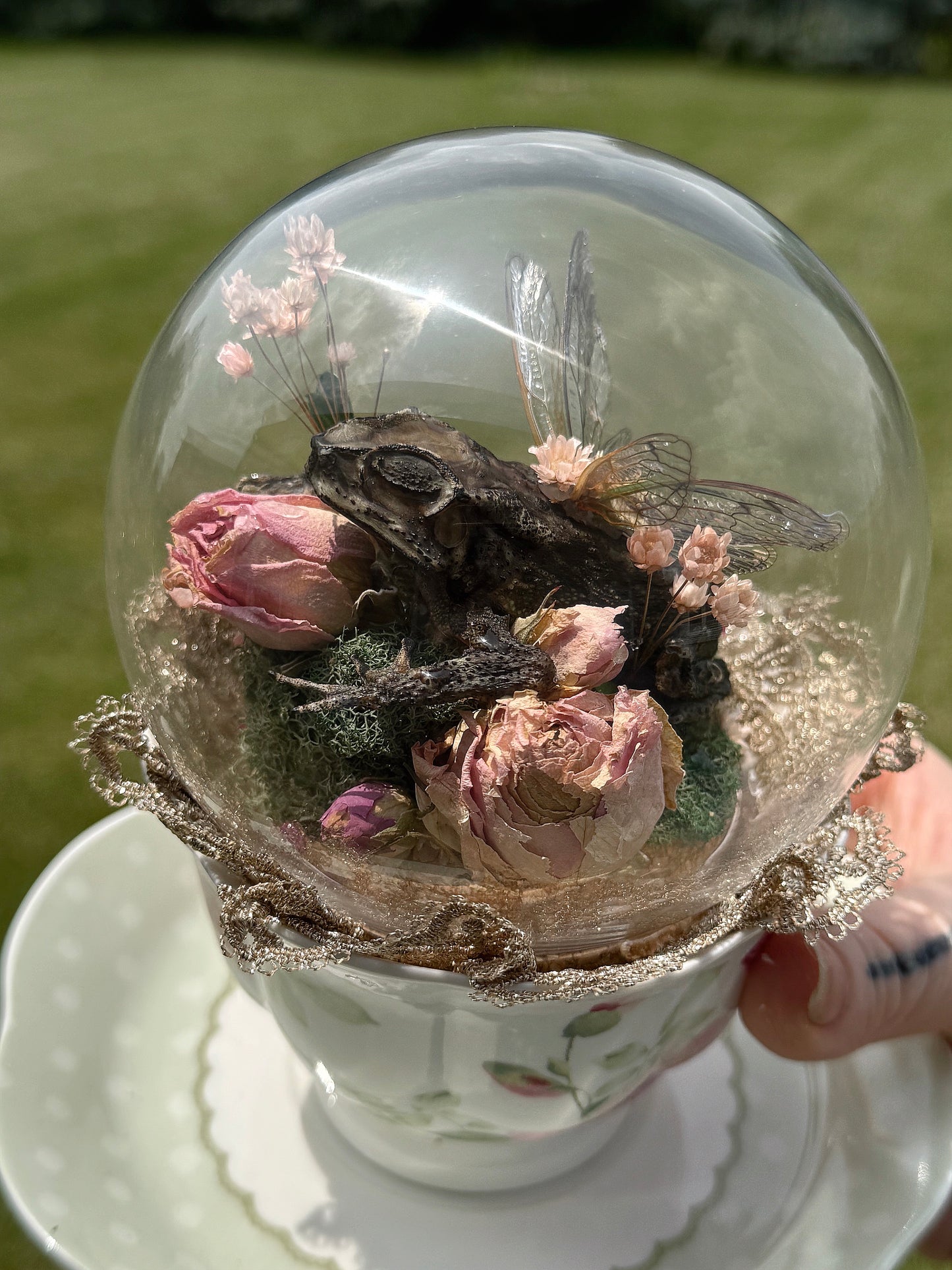 Faerie Toad in a Teacup