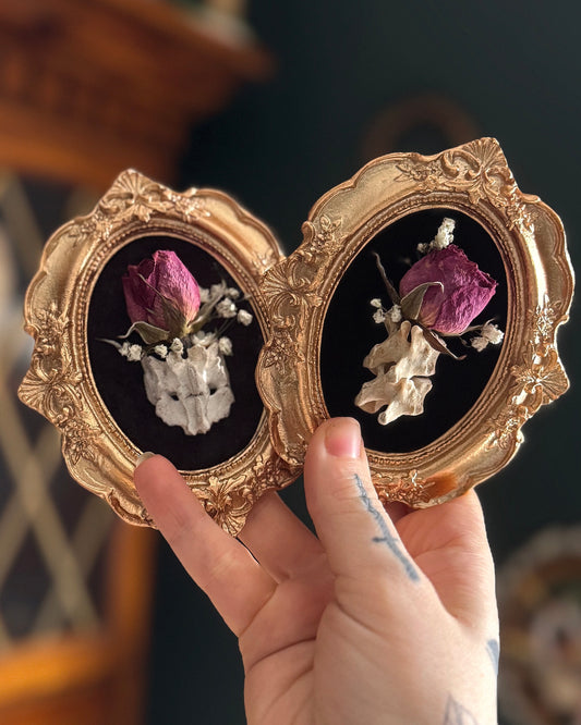 Framed Vertebrae Bouquet xs
