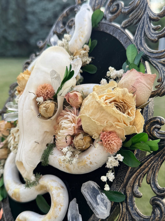 A Serpentine Sunrise