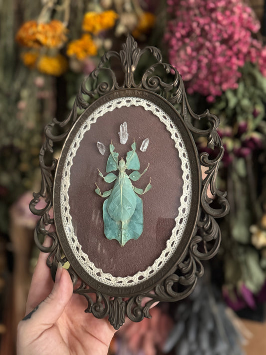 Lady Leaf with Clear Quartz