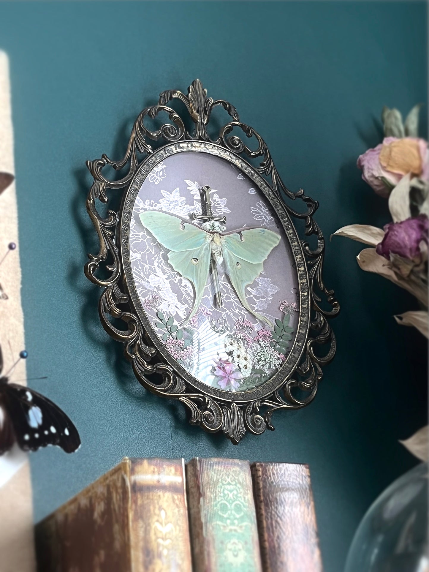 Made to Order Luna Moth & Longsword in Vintage Convex Glass Frame