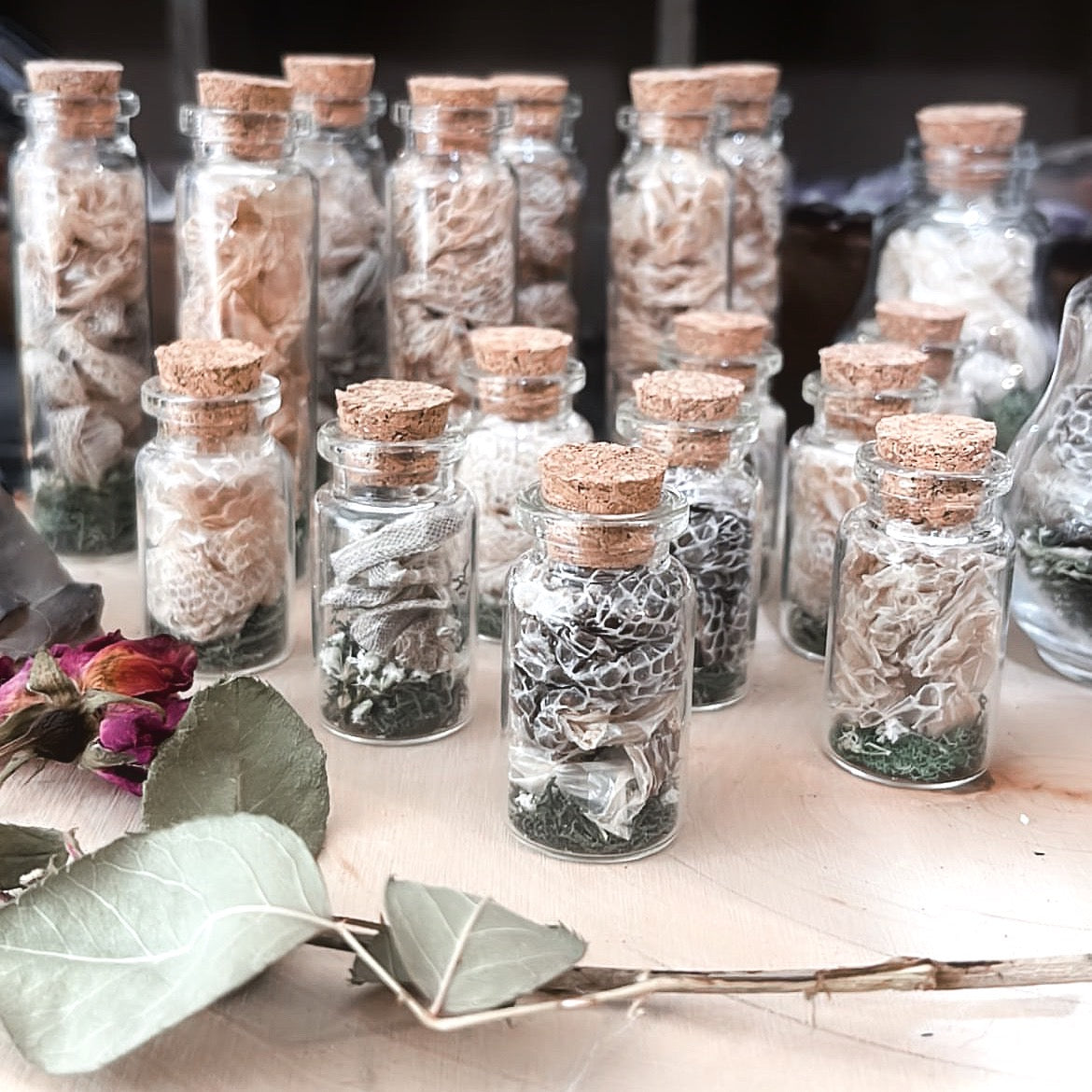 Snakeskin Oddity Jar Medium