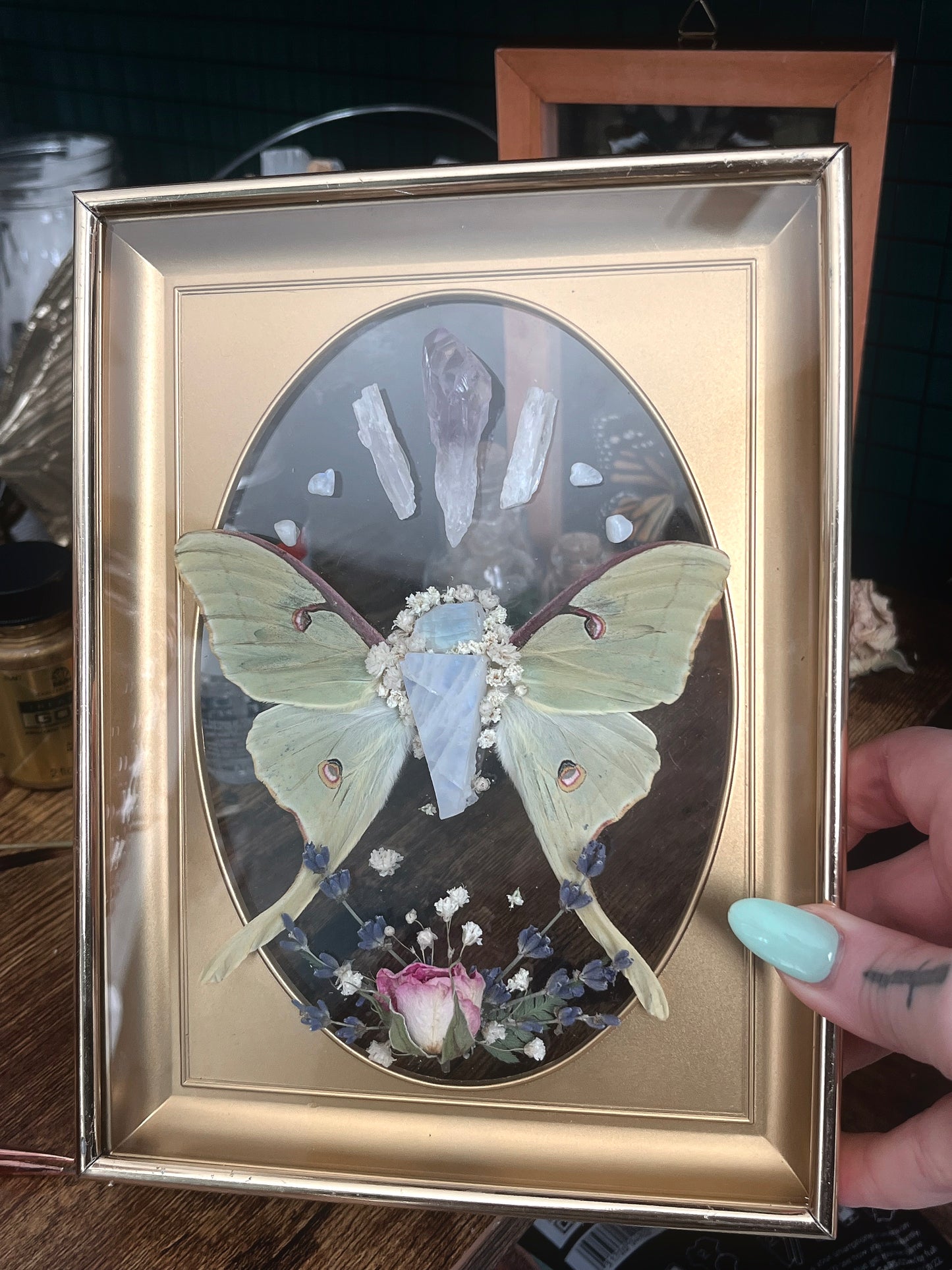 Made to Order Luna Moth Wings & Moonstone in Vintage Frame