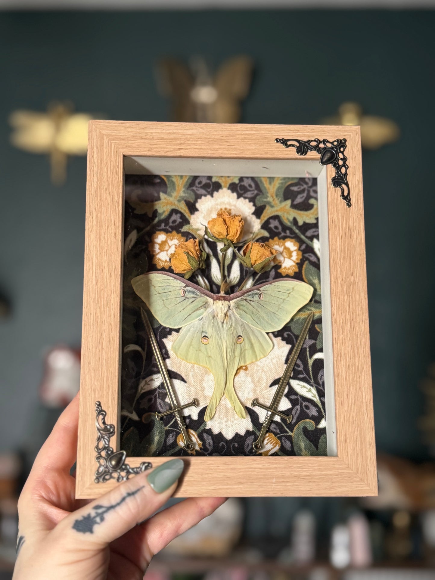 Luna & Longsword Shadowbox I