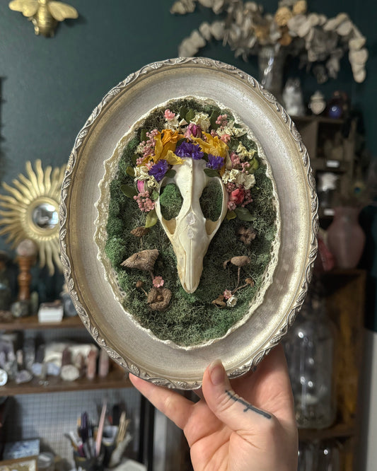 Midsommar Skull