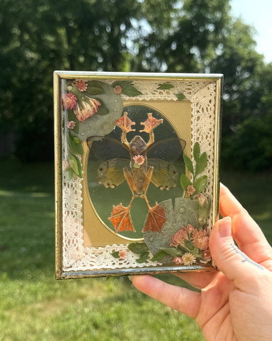 Fairy Frog in Oval Frame