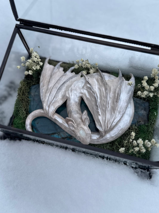 A Silver Winged Wyrmling in Glass Box