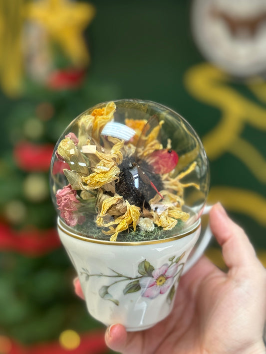 Fuchsia glasswing in vintage teacup