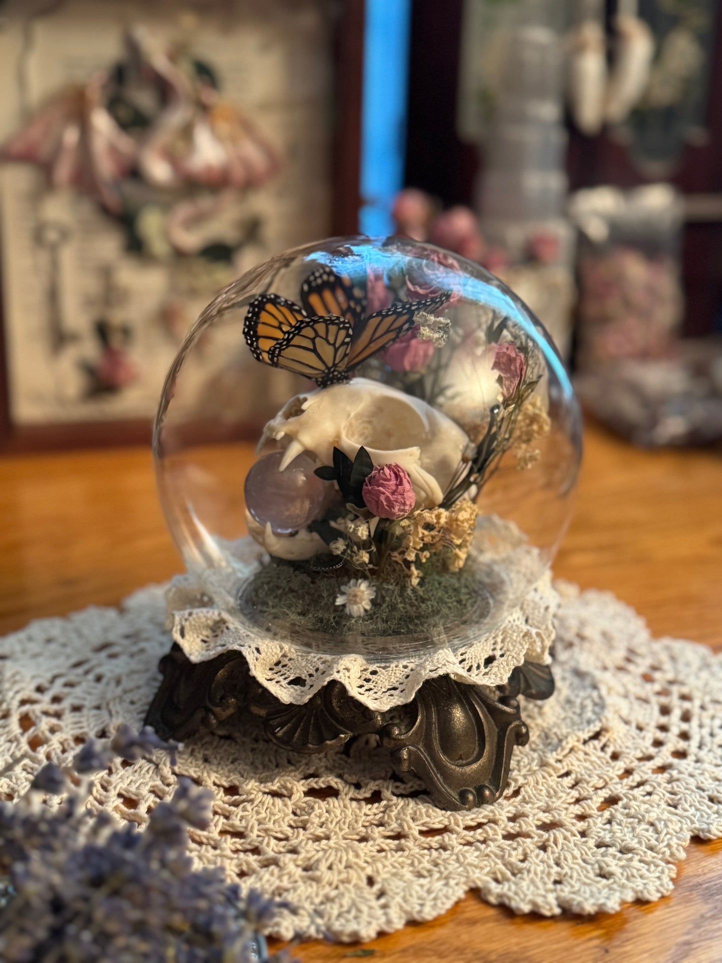 Cat Skull Crystal Ball