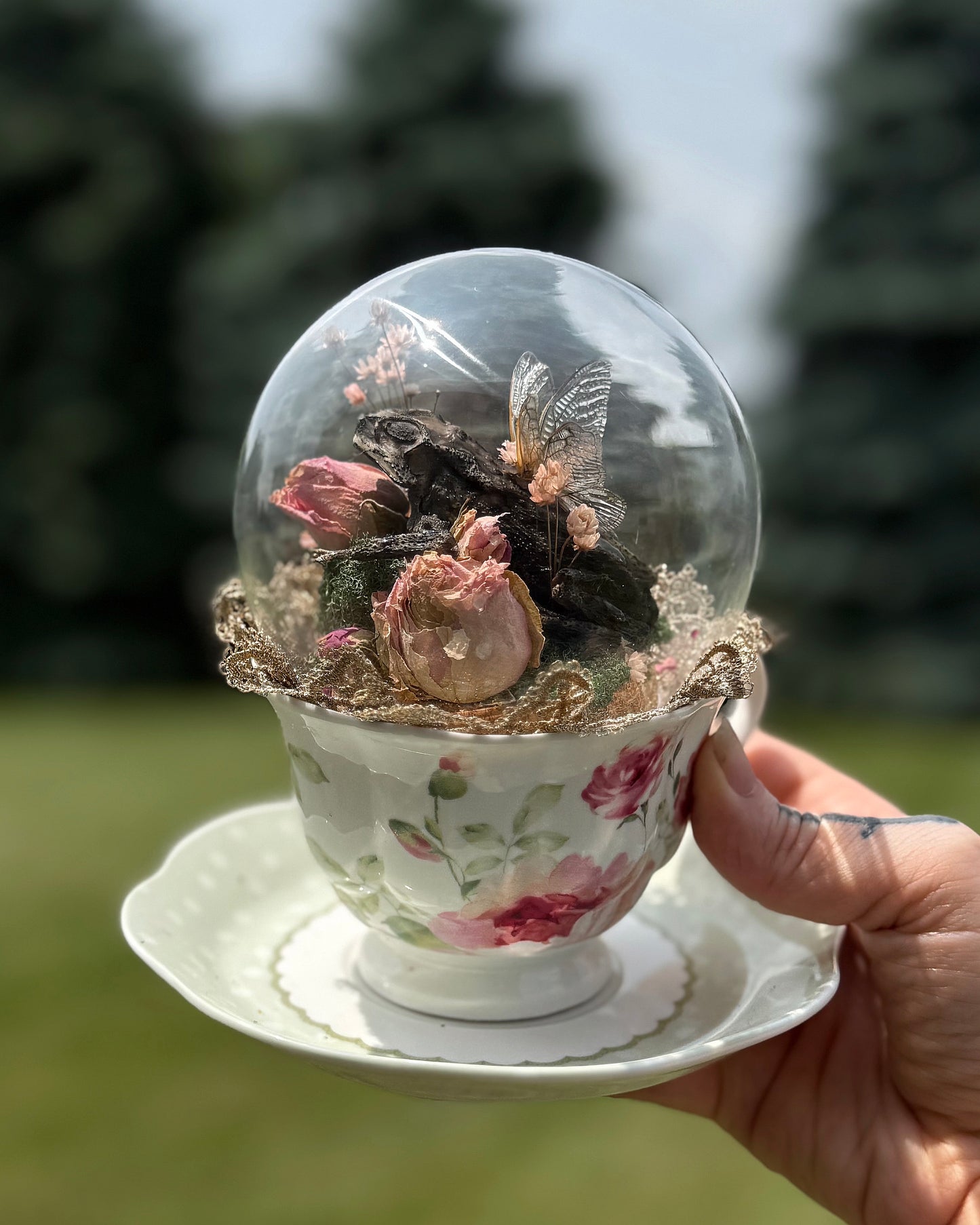 Faerie Toad in a Teacup