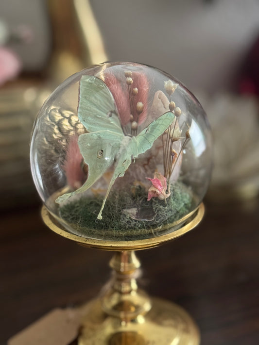 Little Luna & Flower Agate Moon