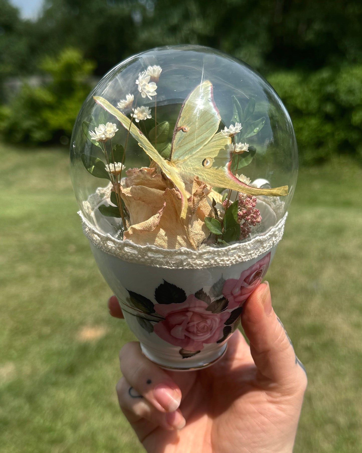 Luna Moth Teacup