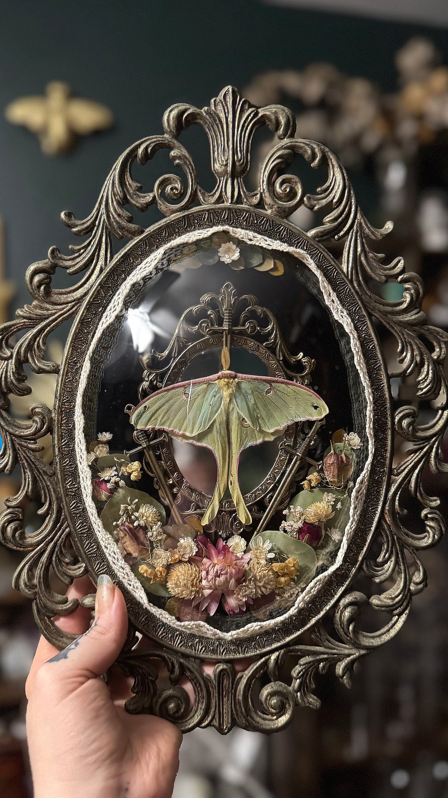 Luna moth portal frame