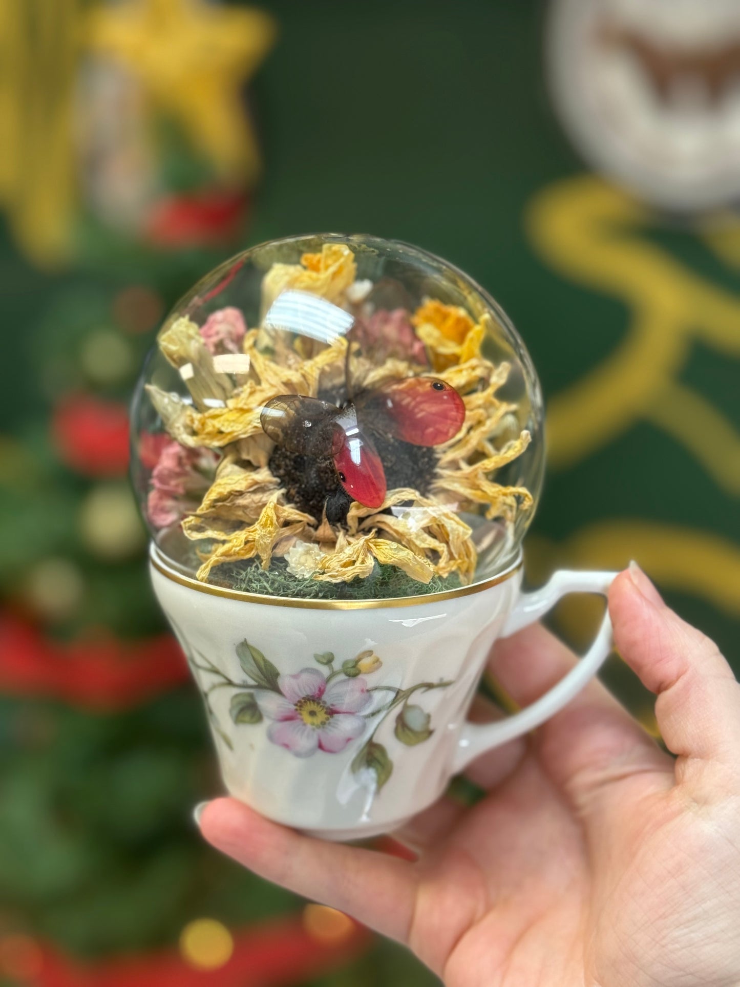 Fuchsia glasswing in vintage teacup