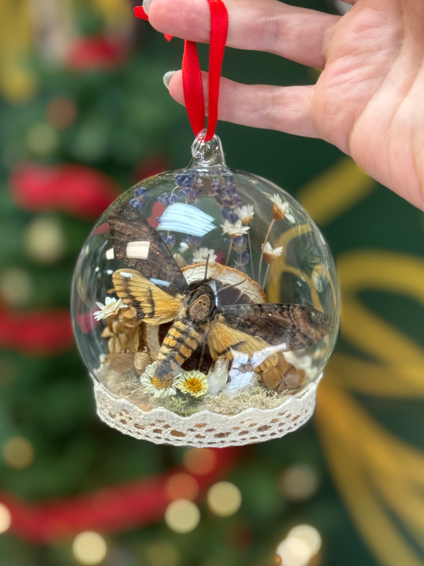 Deaths head hawk moth Yuletide ornament