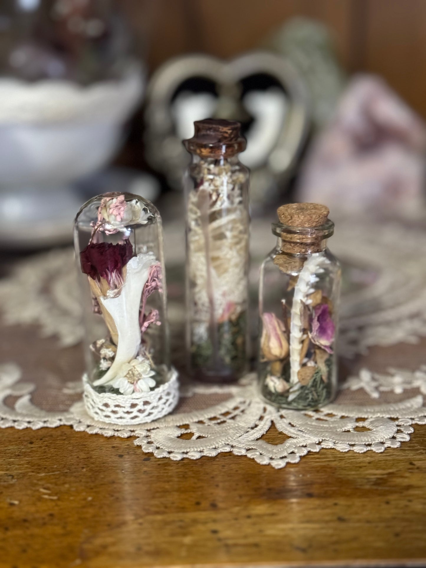 Curio Collection III - Snakeskin & Bone