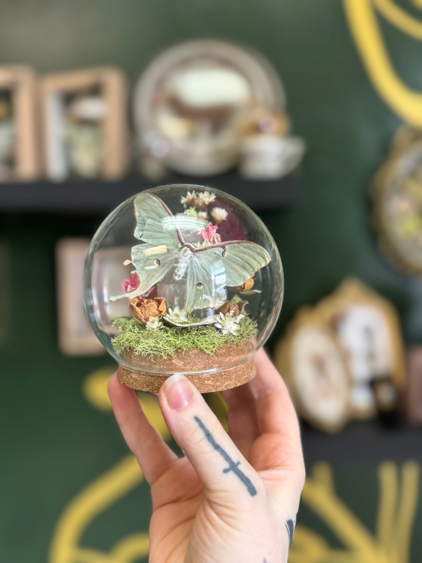 Little Luna mini Cloche