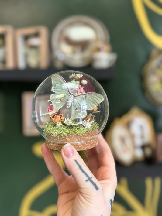 Little Luna mini Cloche