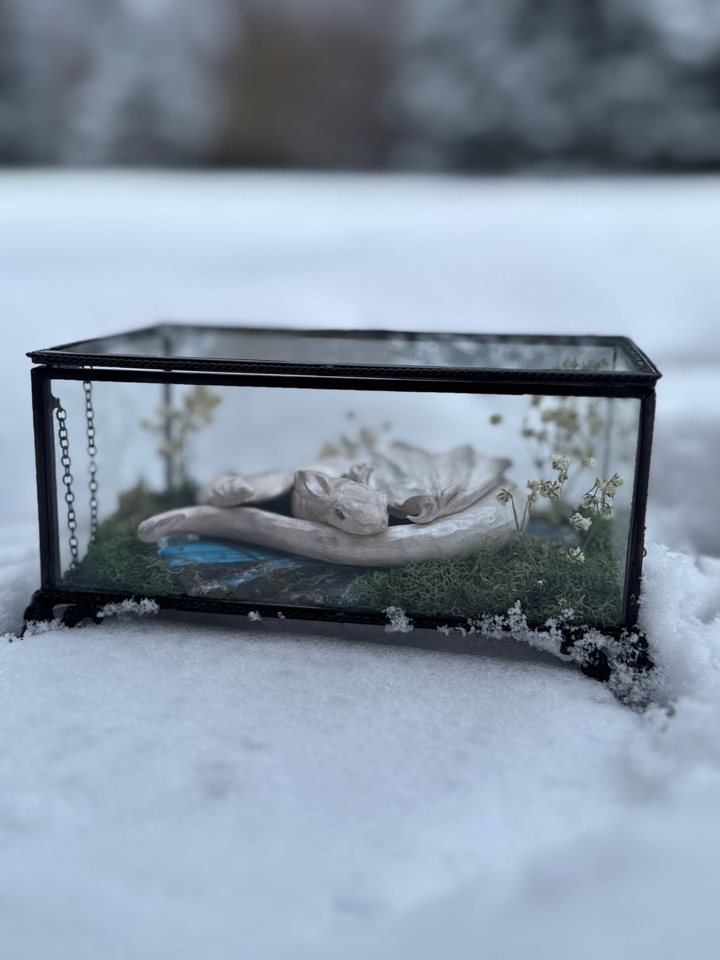 A Silver Winged Wyrmling in Glass Box