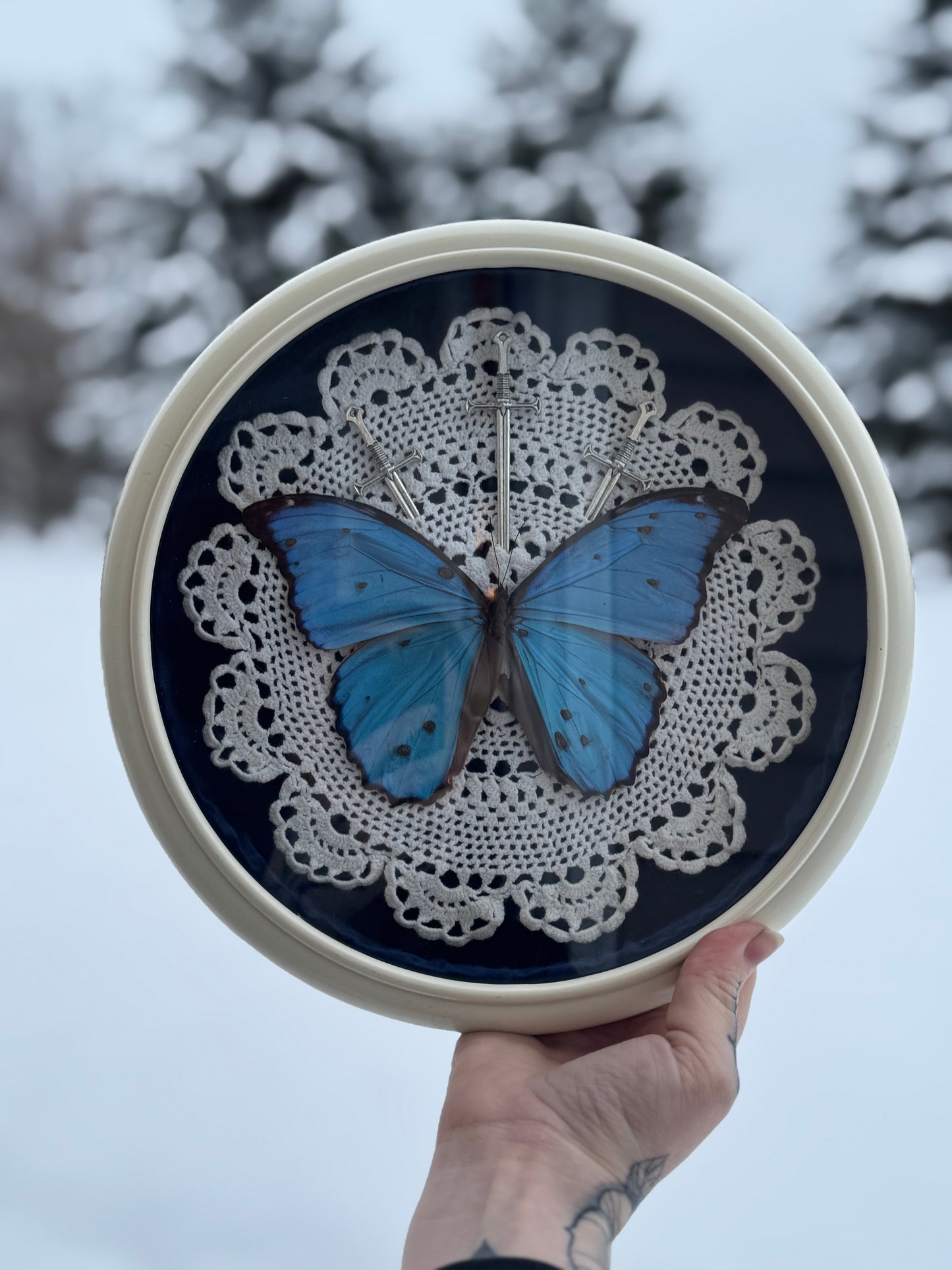 Snow Morpho