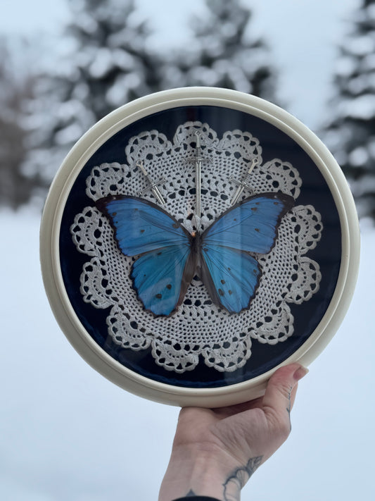Snow Morpho