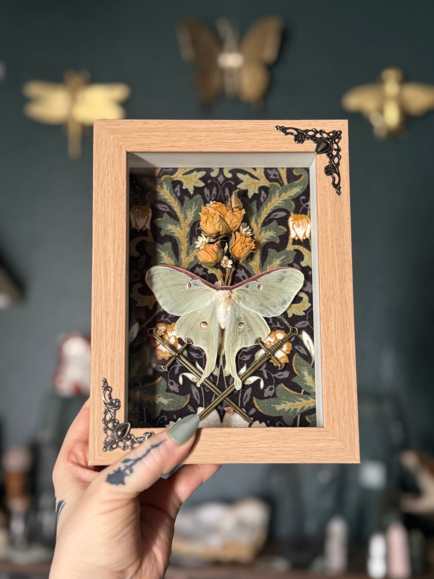 Luna & Longsword Shadowbox III