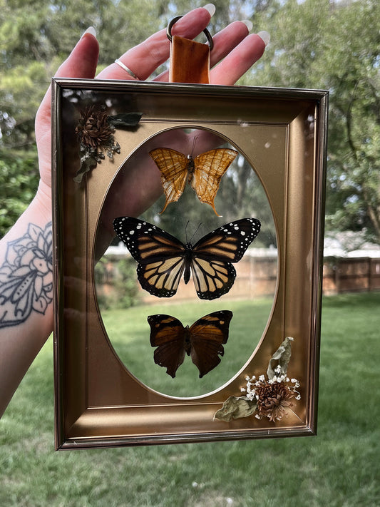 Fall Butterfly Trio