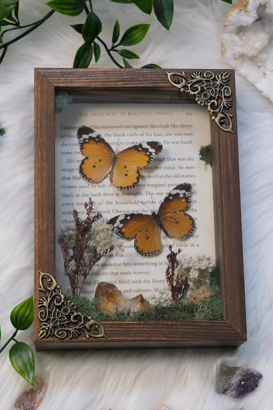 Love Story Butterflies in Orange