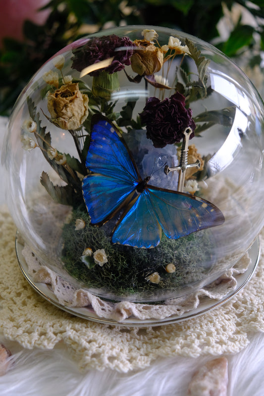 Morpho Zephyritis on Celestite & Silver lined plate