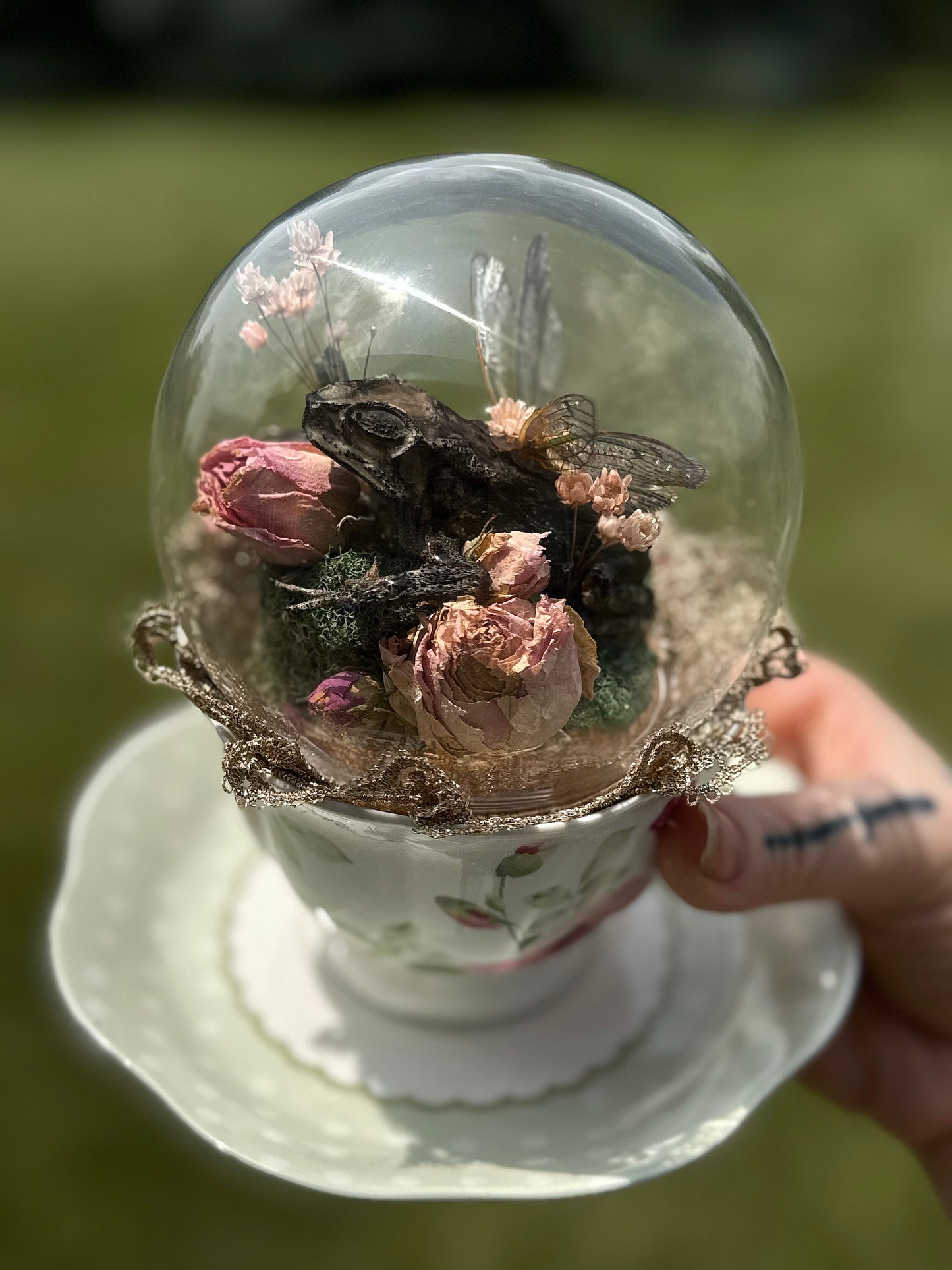 Faerie Toad in a Teacup
