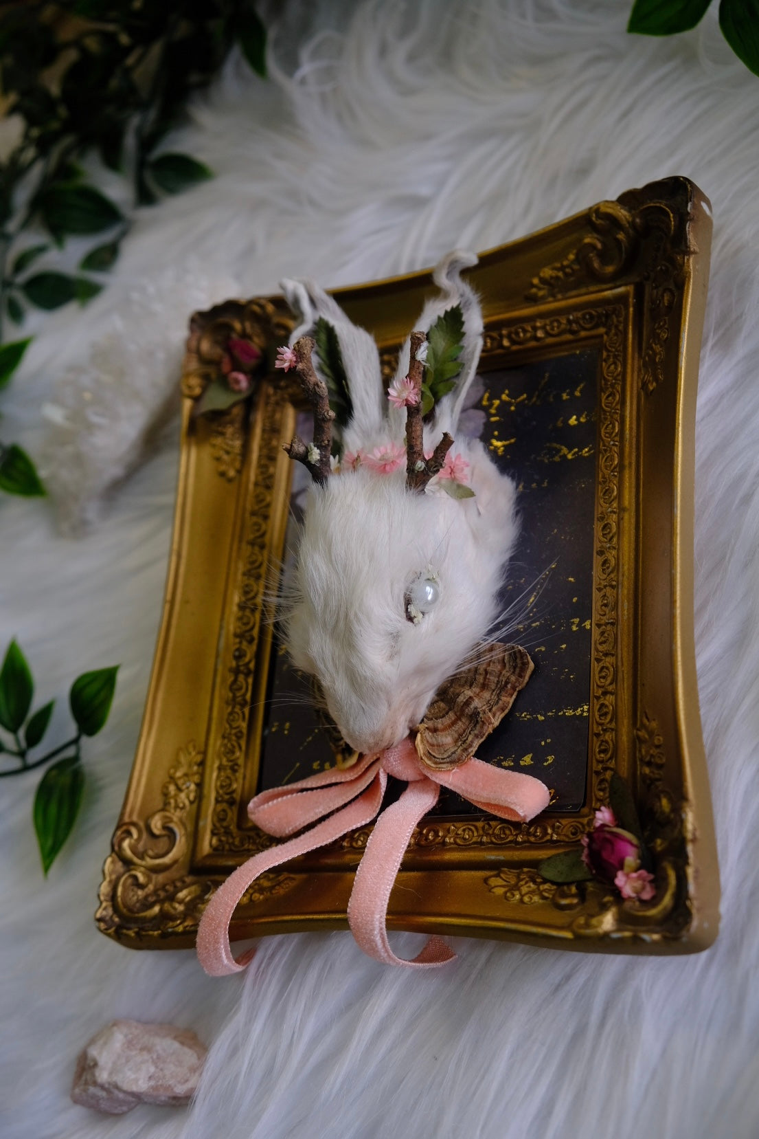 White Juvenile Jackalope Mount