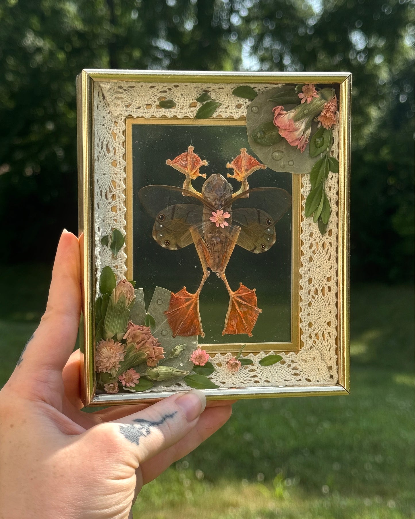 Fairy Frog in rectangle Frame