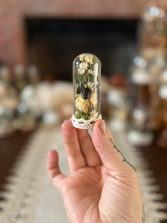 Rollie Pollie Mini Vials