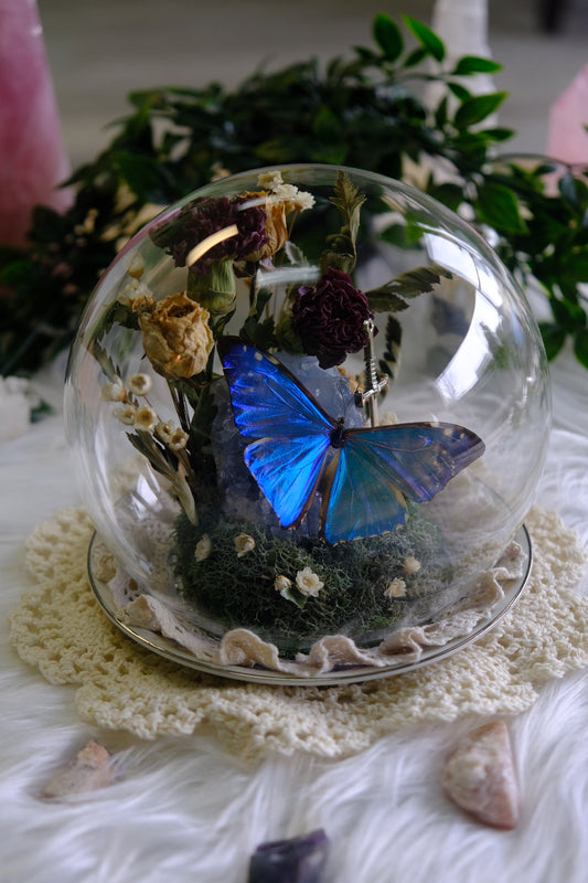 Morpho Zephyritis on Celestite & Silver lined plate