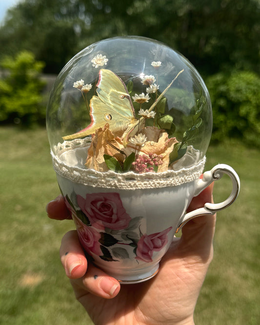 Luna Moth Teacup