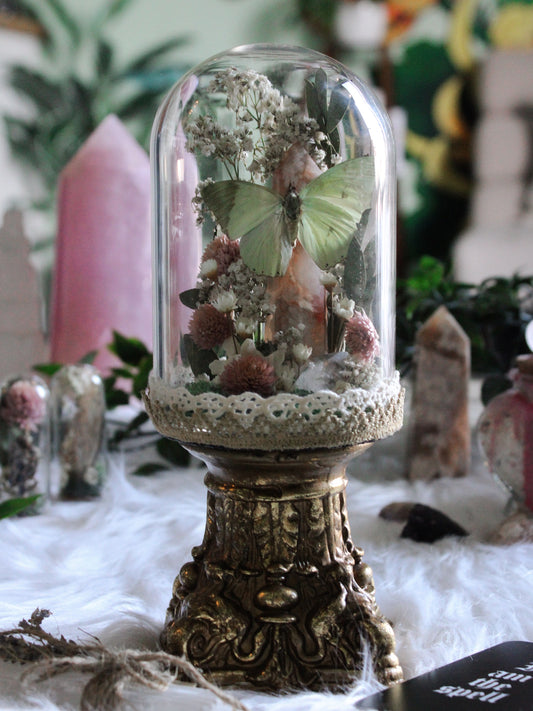 Flower Agate and Common Green Butterfly