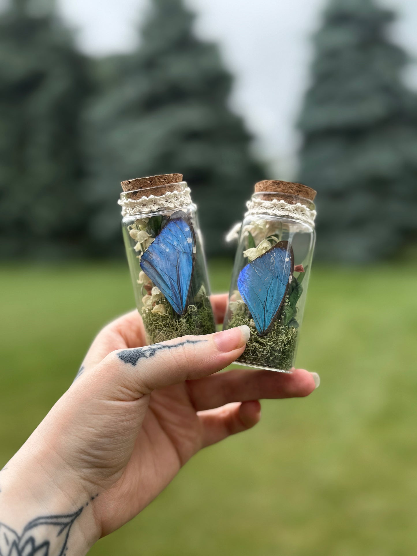 Morpho Wing & Lily of the Valley