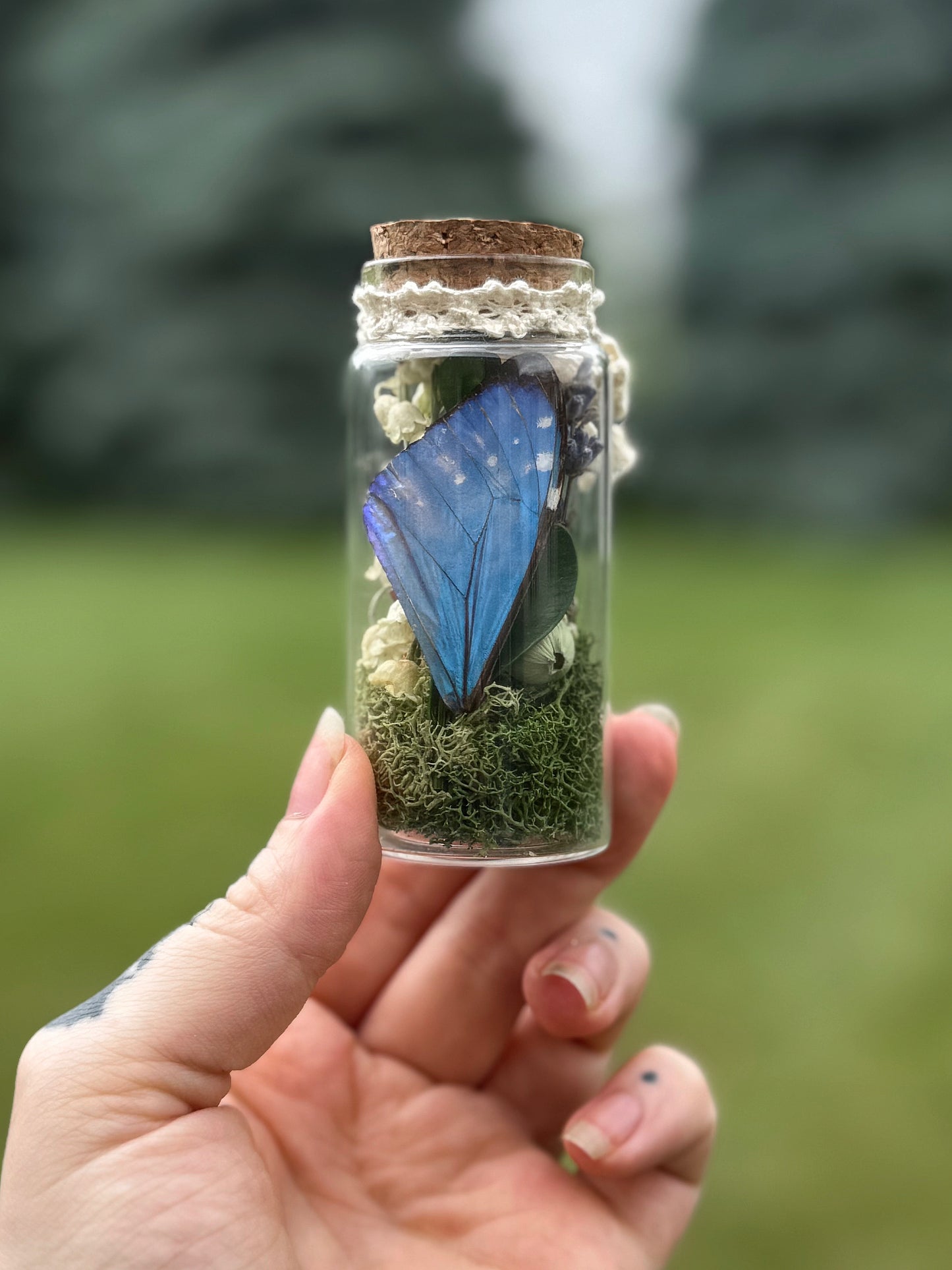 Morpho Wing & Lily of the Valley