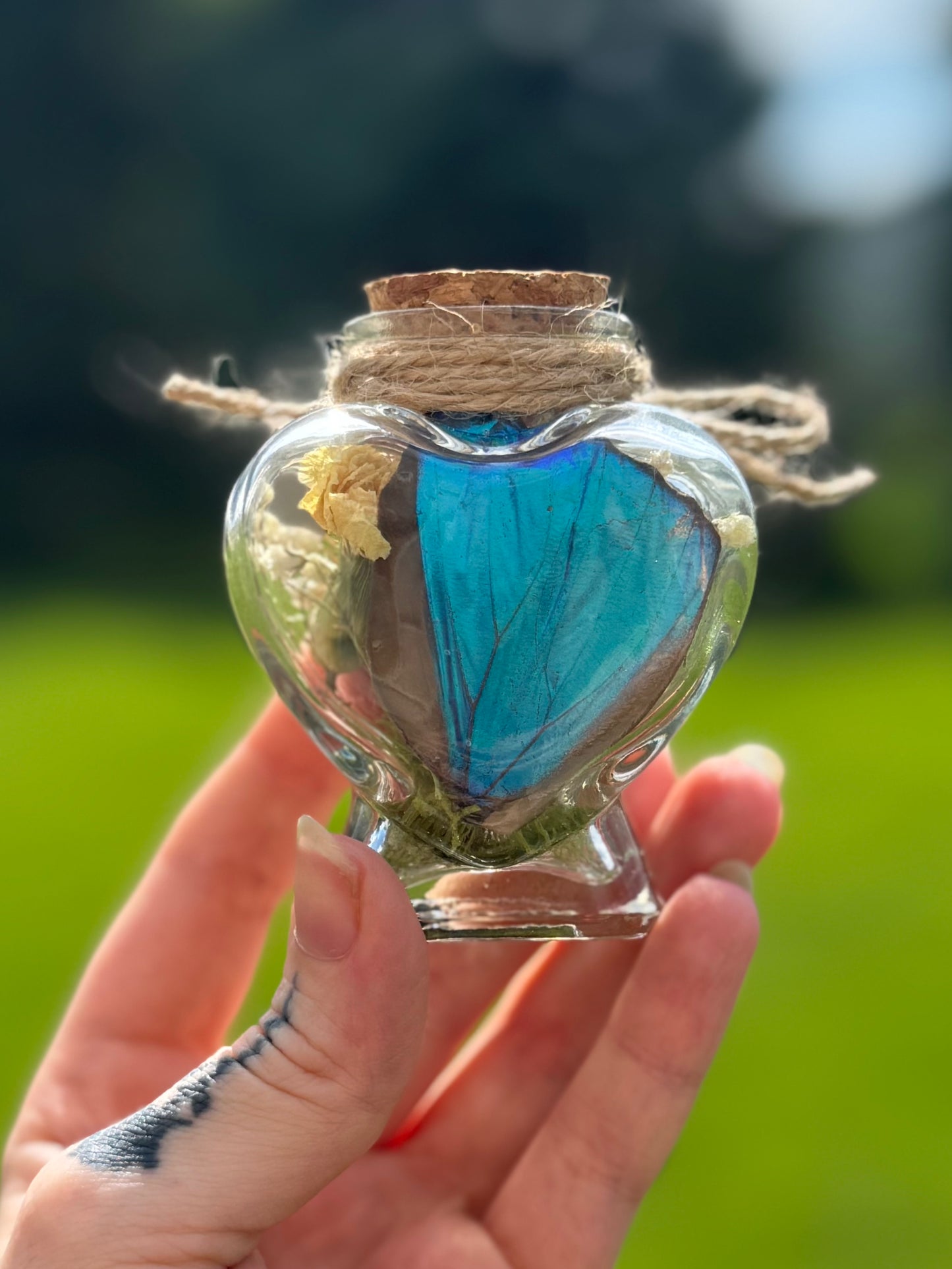 Heart-Shaped Curio Jar - Morpho