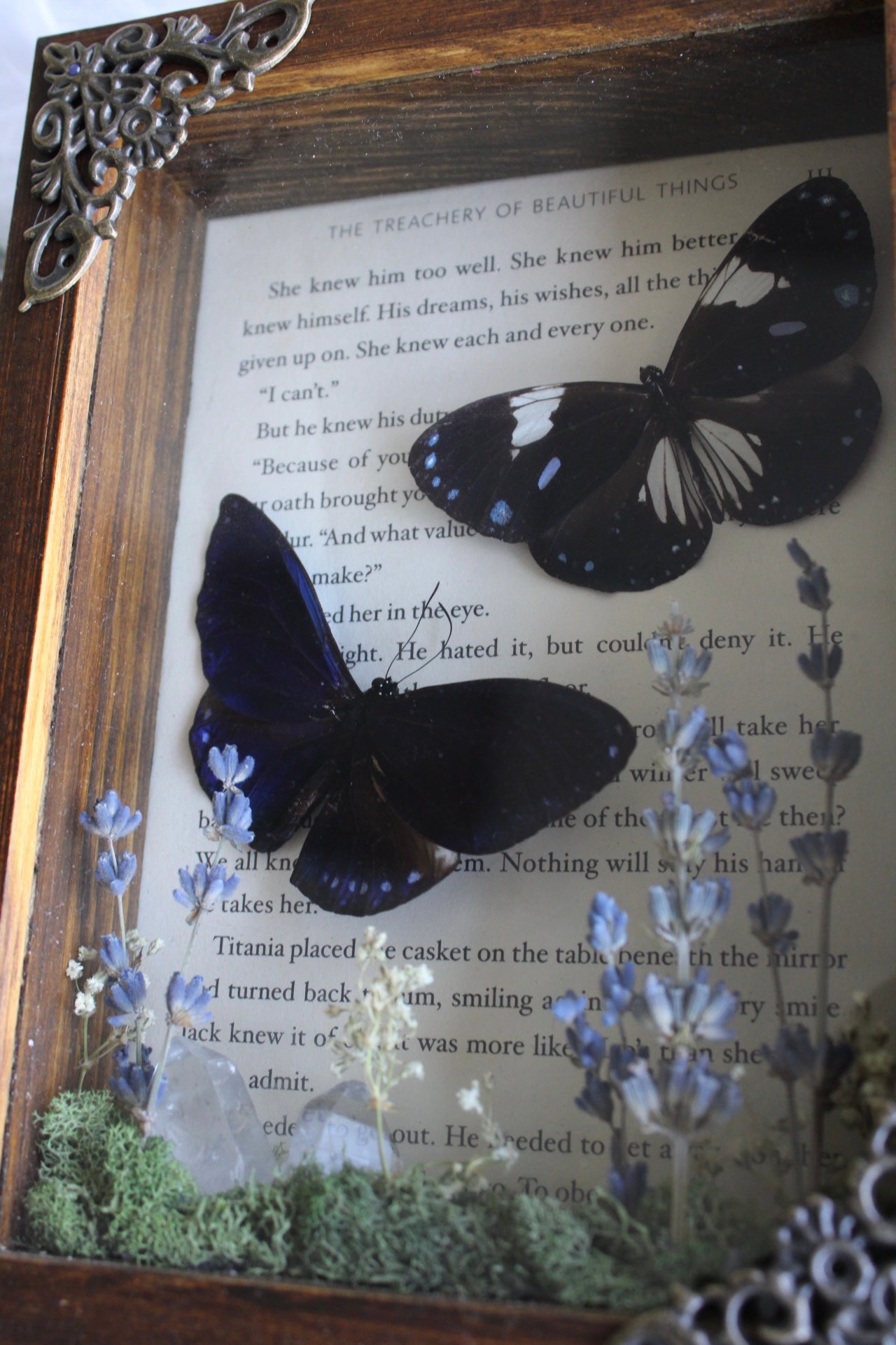 Love Story Butterflies in Blue