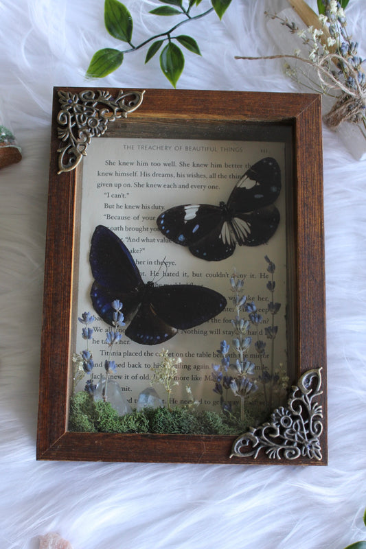 Love Story Butterflies in Blue