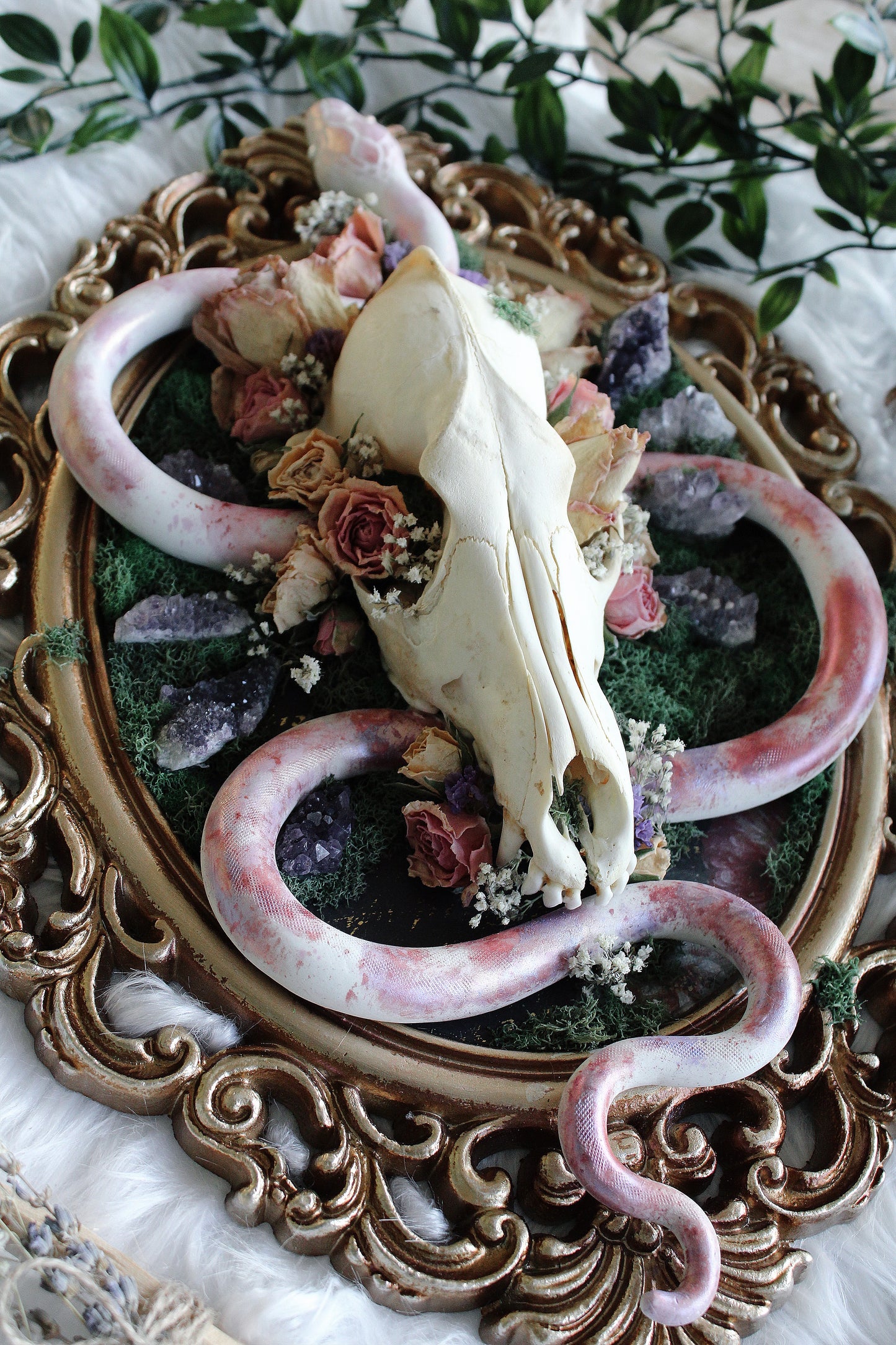 Mixed Media Coyote Skull & Snake